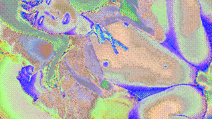 g1504_compressed.gif