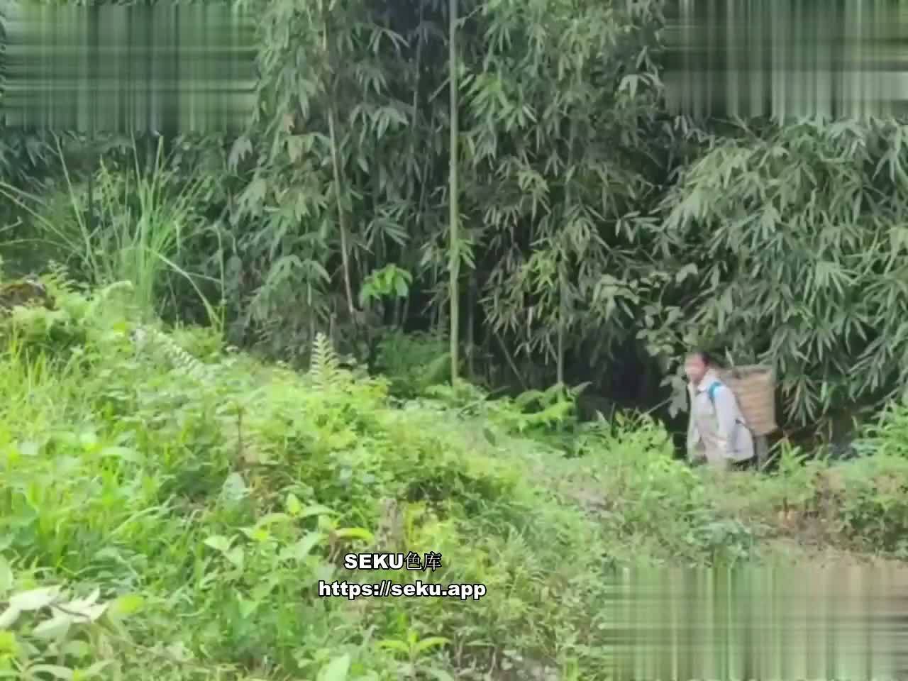 03.jpg