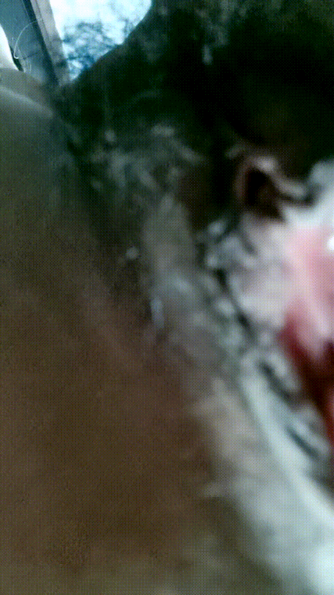 VID_20230903_190031_010_p60_compressed.gif