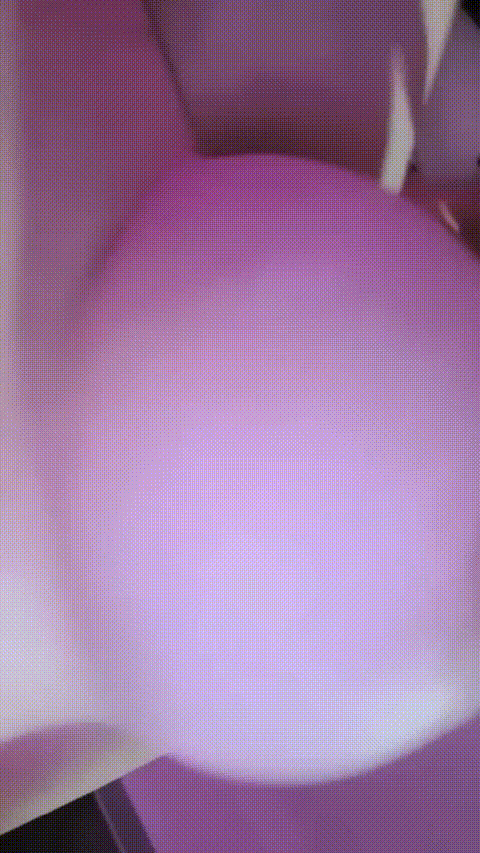 井川里予_20260211_132522_p20_compressed.gif