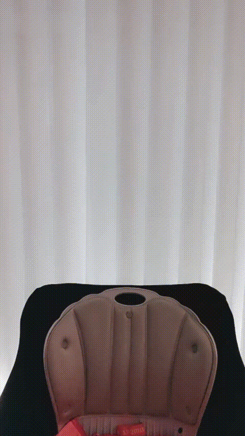 多肉垚垚_20260213_154110_p40.gif