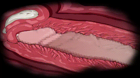 [Suppai] 百年に一度しか生まれない、アナルで妊娠できる特殊体質の俺は、ふたなり達.gif