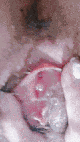 1 (7)_compressed.gif