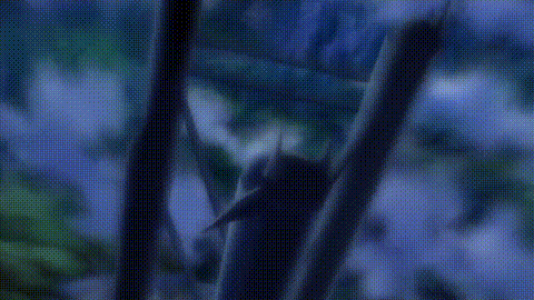 マジカルウィッチアカデミーボクと先生のマジカルレッスンTHE_ANIMATION_LECTURE_2「.gif