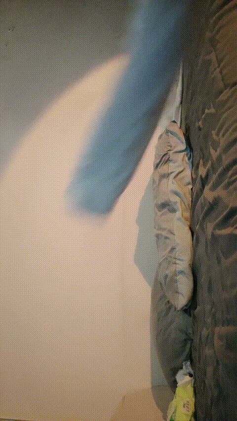 #娇娇嗲嗲的小狐狸__p60_compressed_compressed.gif