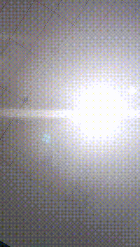 #小蜜蜂___7_2_9ug2o_p60.gif