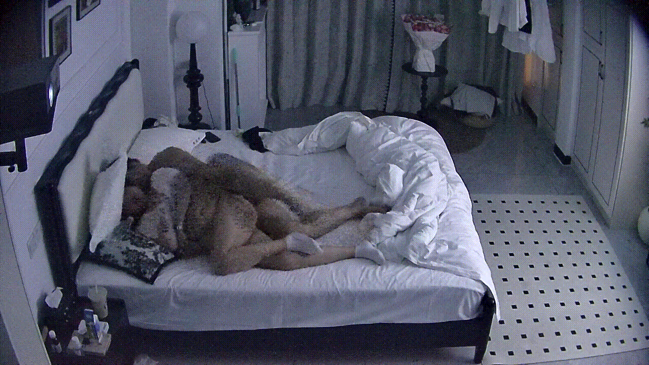 7.gif