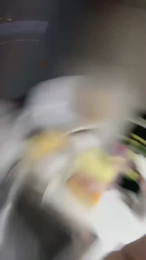 喵喵大王不想说话_20260309_130304_p40_compressed.gif