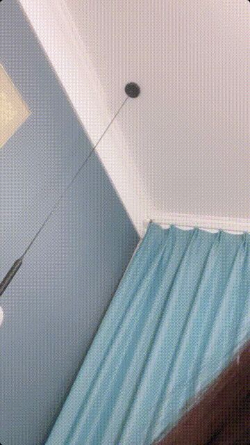 0 (13).gif