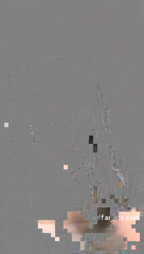 (118)_p60_compressed.gif