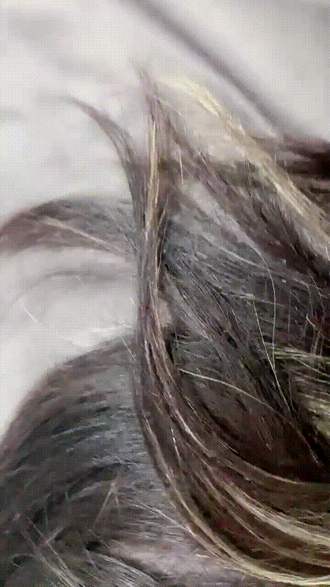 【妩媚倾城】极品御姐完美炮架大屌无套插粉穴~干出火星子了1491_p40.gif.gif
