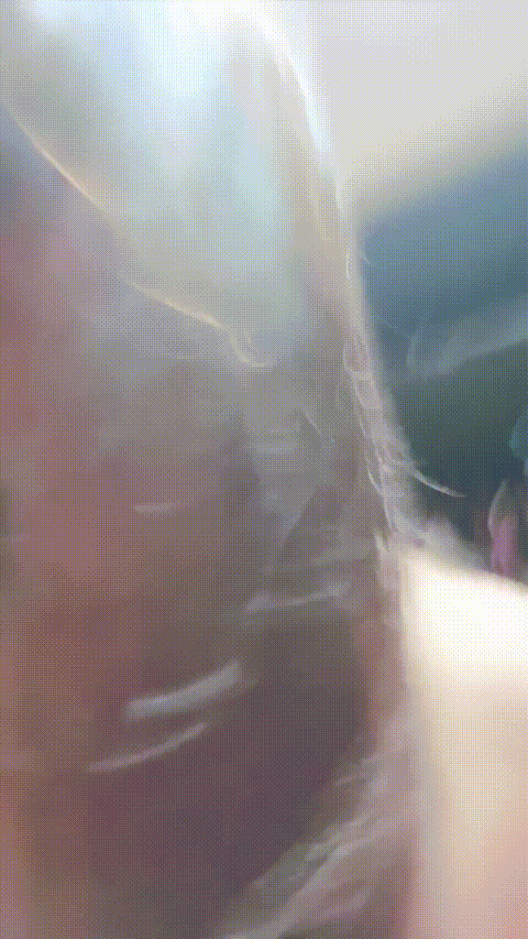 新人学生妹 热舞女神【黎巴啦呀】美乳挺胸~激情裸舞自慰喷水一字马跪地沐浴完美G奶热.gif