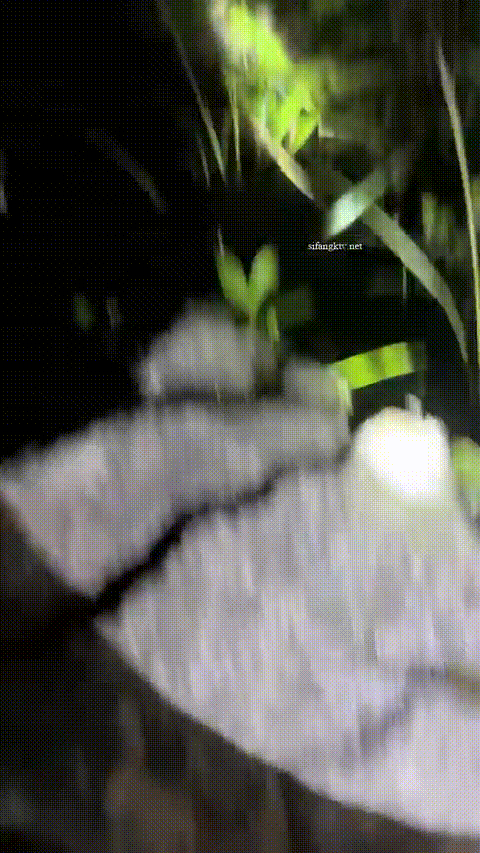 爱液随风起_农村大学生主播_户外喷水直播合集27部_23_p80_compressed.gif