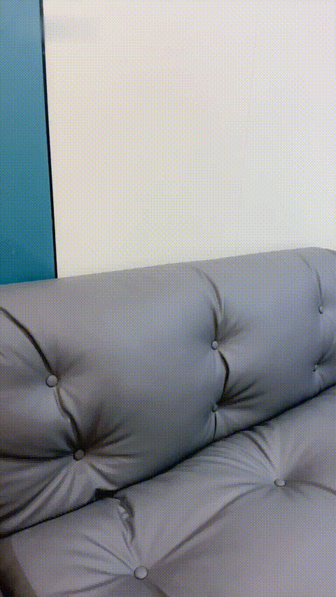 小巴辣子_20260219_155336_p20.gif
