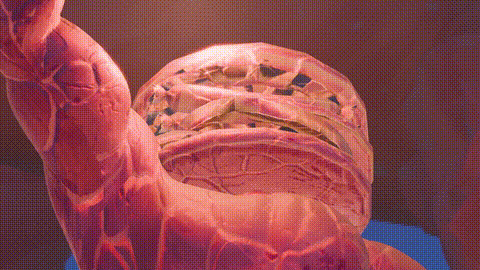 [LOM] EP.1 — “Varesa VS ___” [COMPLETE] i_p20.gif