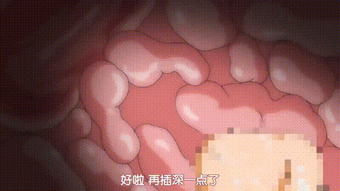 フェラハメりっぷす_Throat_1_中文字幕 _动漫__p80.gif