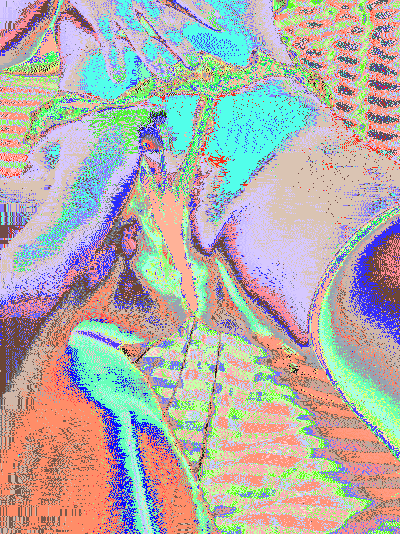 2 (7)_compressed.gif