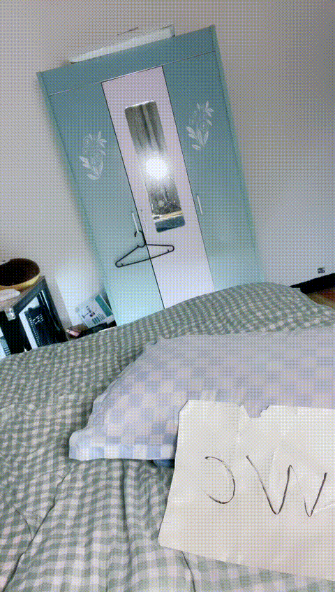 vlc_record_2023_06_14_22h57m53s_cx___p80.gif