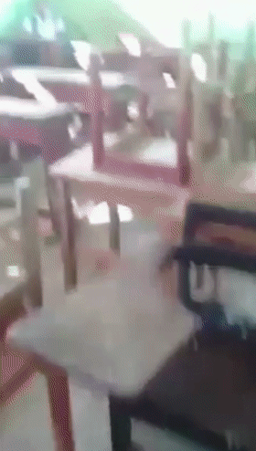 5.gif