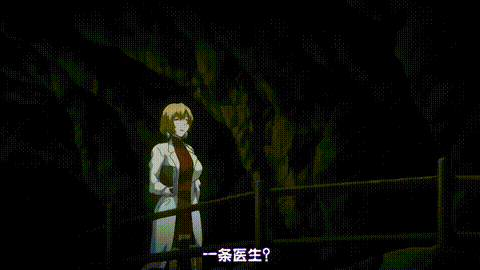OVA_裏受胎島_2_赤ちゃんできるまで抜かないで…_中文字幕_p60.gif