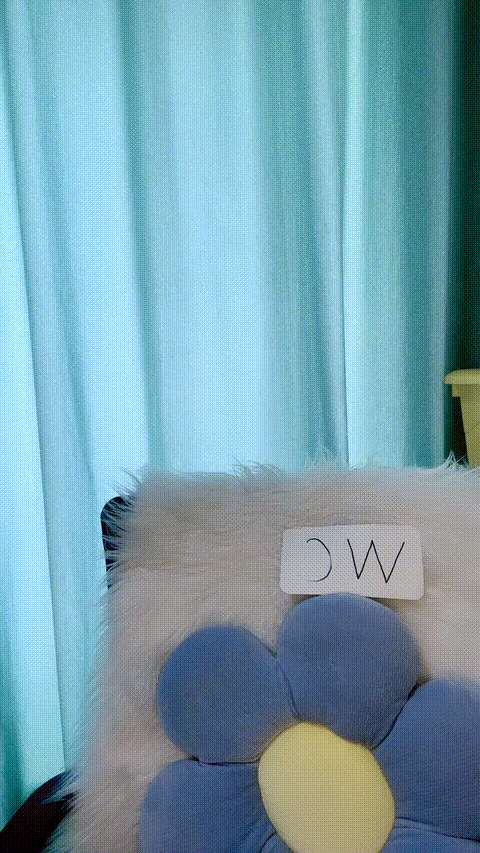 vlc_record_2023_06_07_12h04m55s_cx___p60.gif