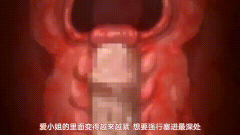 OVA_僕にセフレが出来た理由_6_[中文字幕]_p80.gif
