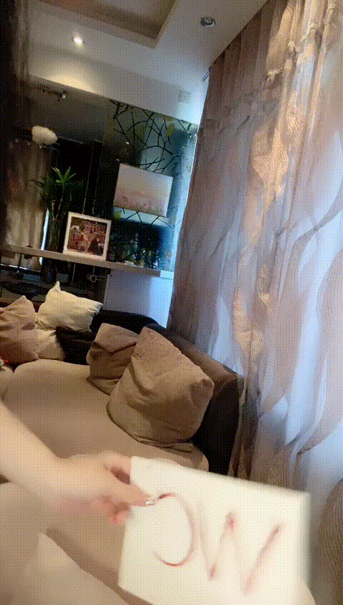 vlc_record_2023_06_05_10h43m49s_cx___p20_compressed.gif