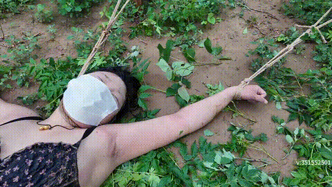 《雯雯雨后野外绳虐》39_p60.gif
