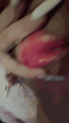 4_compressed.gif