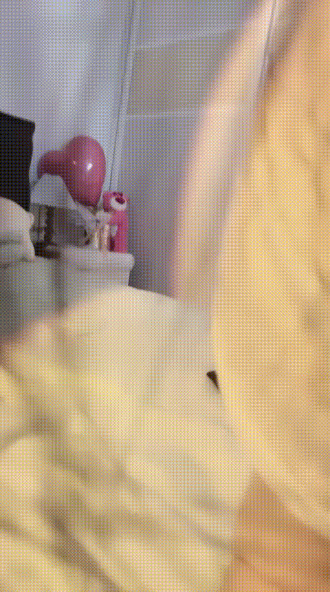 星韵_20260208_115935_p80_compressed.gif