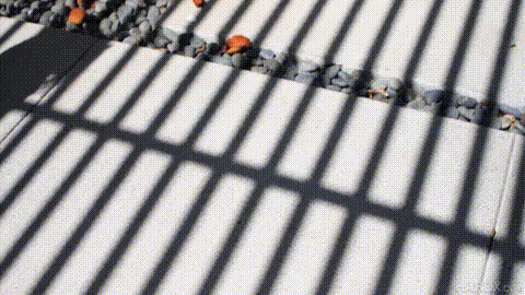 ANAL RAMMING FOR CHANEL CAMRYN_p5.gif