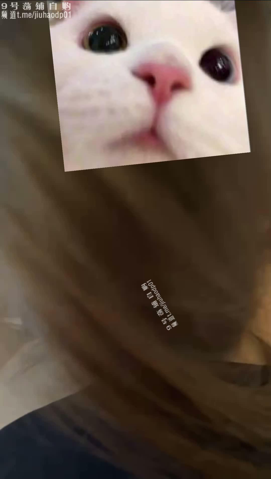 03.jpg