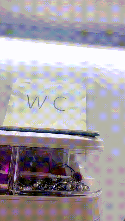 vlc_record_2023_05_18_17h10m18s_cx___p60.gif