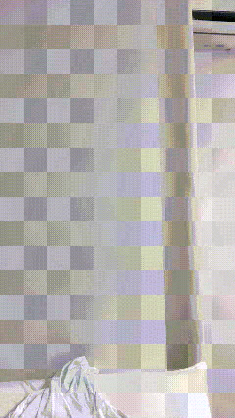 溏心蛋蛋_萱萱喵吖_20260212_150305_p40.gif