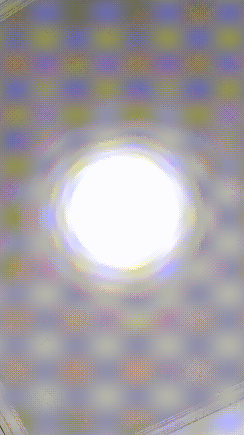VID_20230905_052729_718_p5.gif