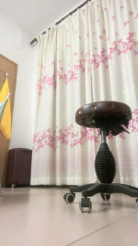 VID_20230904_151721_337_p5_compressed.gif