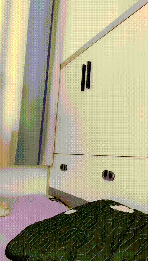 #coco___7__yfmkk_p80_compressed.gif