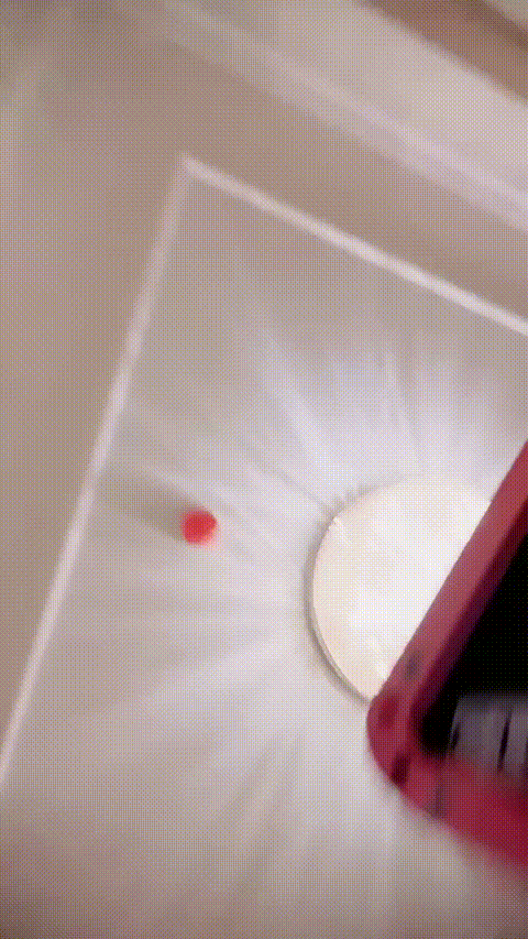 呆幼萌_20260216_185558_p60_compressed.gif