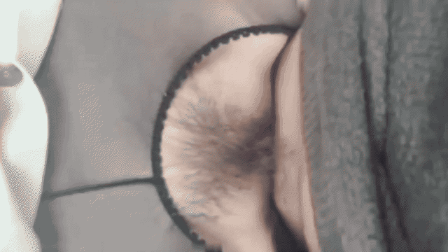 1 (4).gif