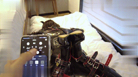 K9 电击 捆绑  调教 束缚 绳艺 SM27_p60.gif