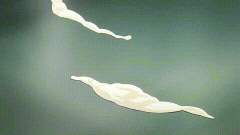 放課後Initiation_VOL_1_[中文字幕] _动漫__p60.gif
