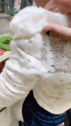 1.gif