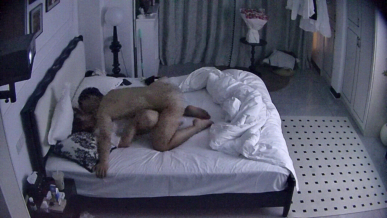 6.gif