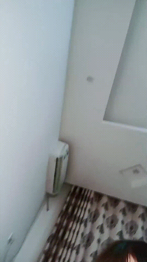 念念安_20260216_210813_p80_compressed.gif