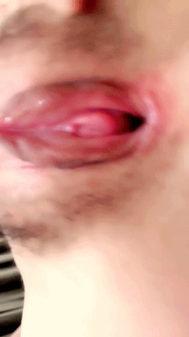 3 (2).gif