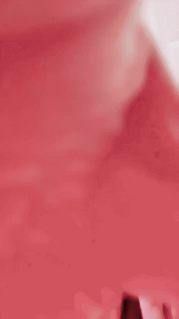 0 (4).gif