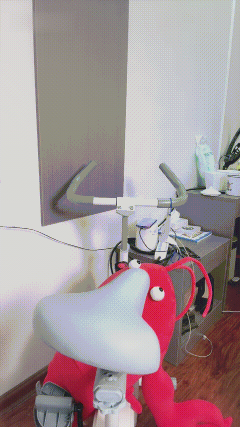 熊猫娃娃_20260216_014840_p20.gif