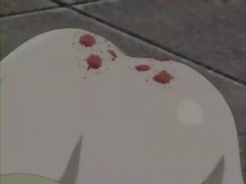 淫娘_3_[中文字幕]_p5.gif