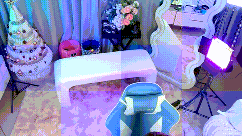 (11)_p80.gif