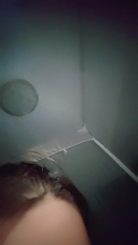 小乖_20260214_103923_p60_compressed.gif